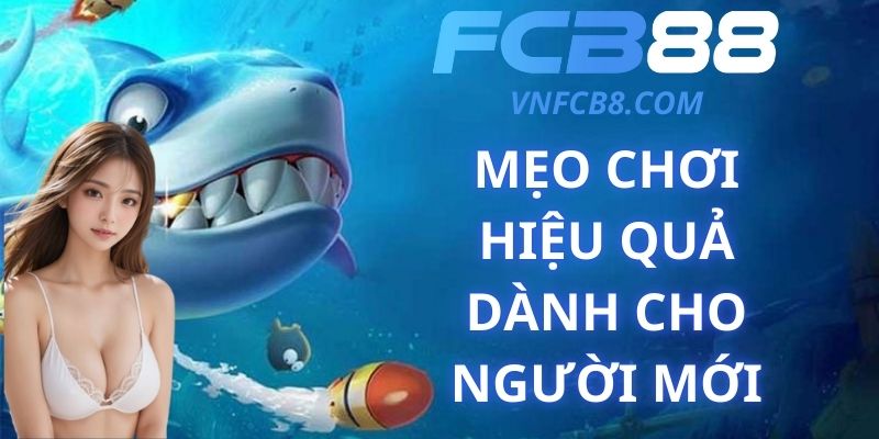 Mẹo Chơi Hiệu Quả Dành Cho Người Mới